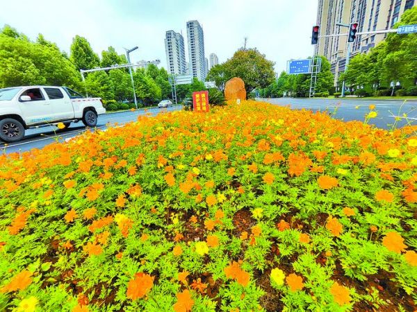 湘潭市园林部门低成本打造高颜值绿化景观