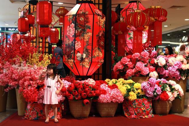 这6种花都是春节“必买”的花，给它们做个比较，就知道选哪种了