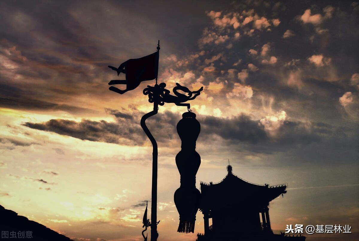 古树就是一部活历史——瑕丘郡步头檀氏与丹桂的故事