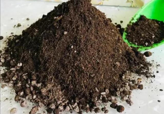 养花用什么土好？收集5种材料，配出的花土疏松透气，养啥花都旺