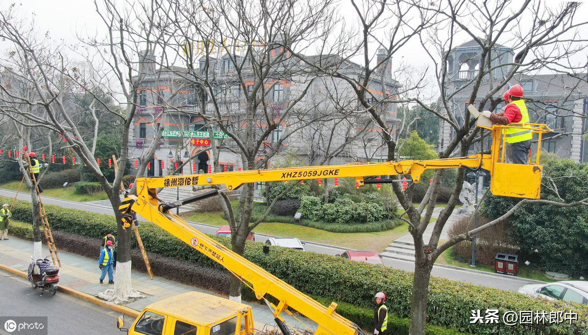 十二月份园林养护工作要点，及注意事项