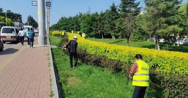 长春市绿园区开展绿化养护,打造优美宜居城区 长春市绿园区开展绿化养护,打造优美宜居城区