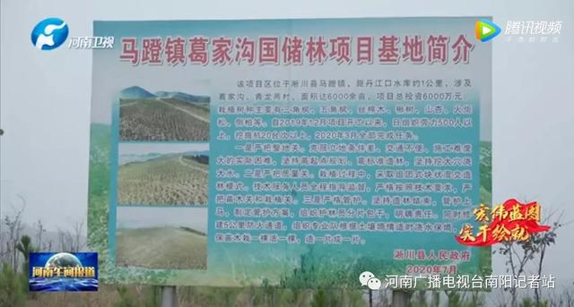 淅川：筑牢生态屏障 实现水清民富