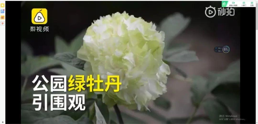 千万不要动我的花，以免赔的倾家荡产