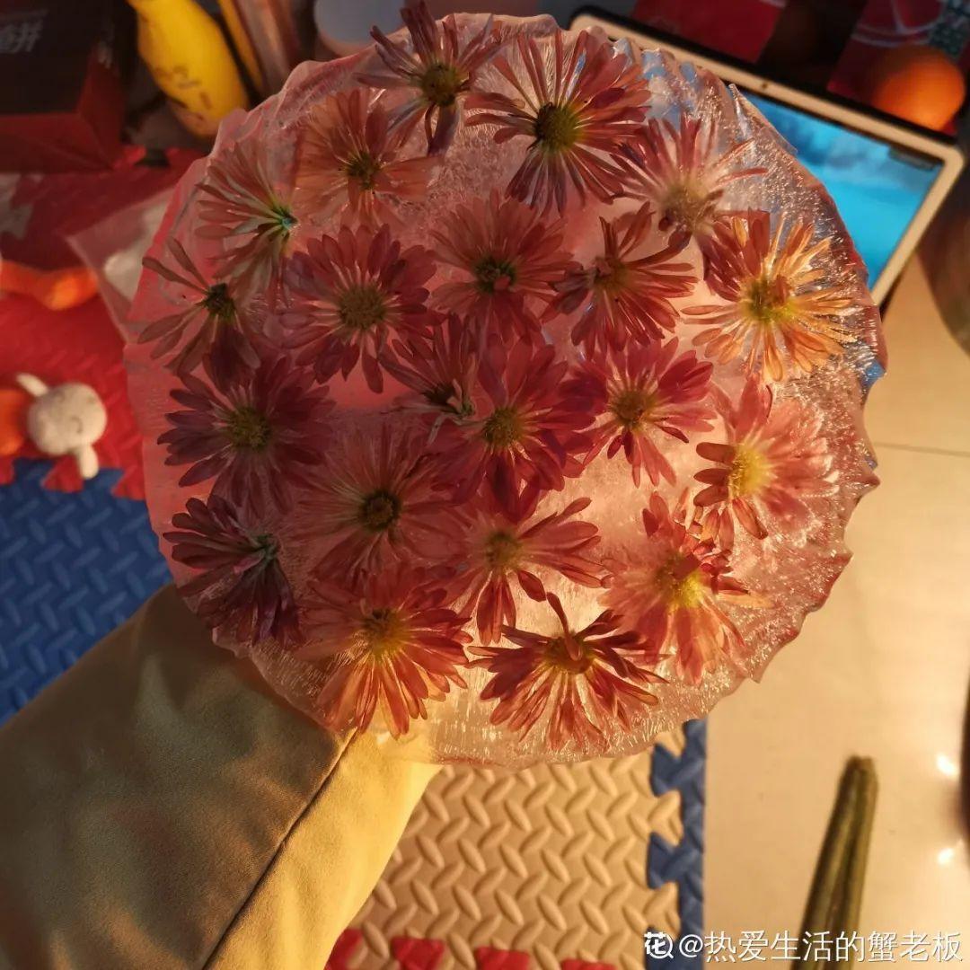 水里摆上花朵，室外冻一冻，简直美翻了