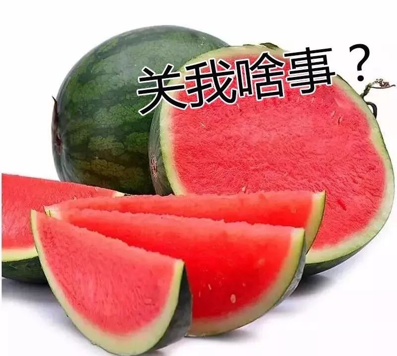 水仙竟然只开花不结果？原因在此↓