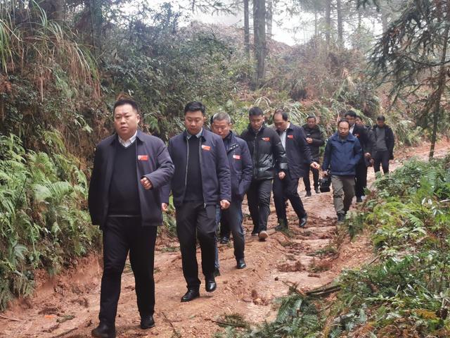 榕江县总林长侯美彪带队深入林区开展 巡林巡查工作