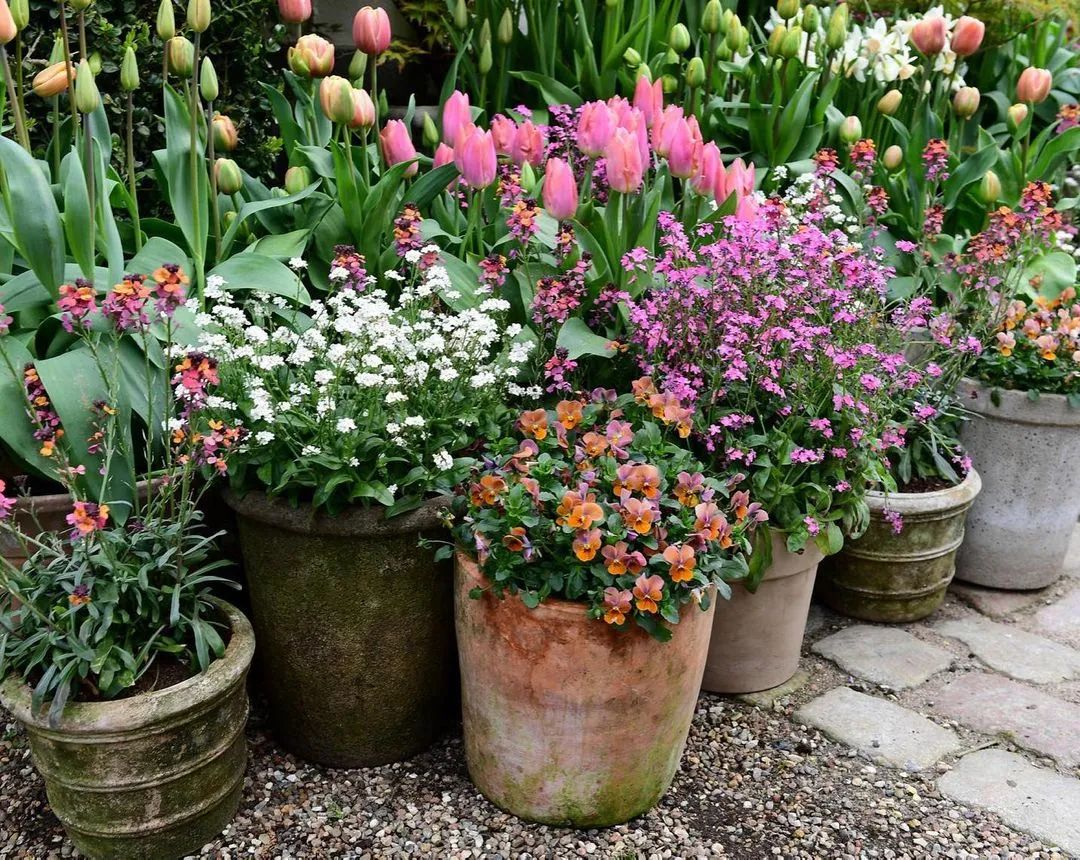 生活主题花园——远离城市的喧嚣,品一杯清茶,闲坐一下午 生活主题花园——远离城市的喧嚣,品一杯清茶,闲坐一下午