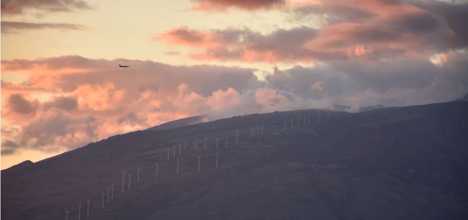 禹城市自然资源局全面启动春季大绿化行动 禹城市自然资源局全面启动春季大绿化行动