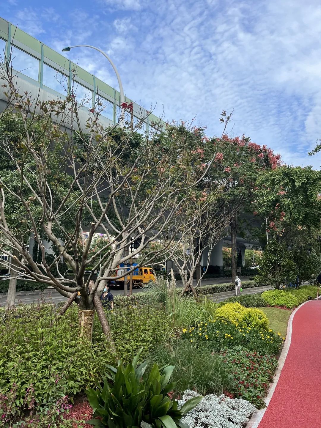 这里的沿线绿化景观提升即将完工，一起先睹为快~