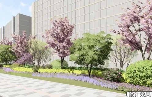 临空园区将新建4个“口袋公园”，还将打造“红枫街