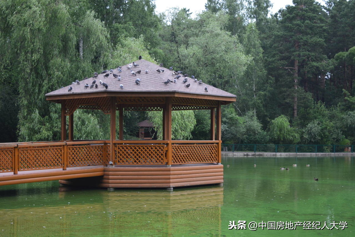 绿地”还是“绿化”？概念有何差别？