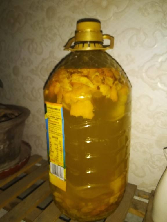 家里的油桶不要扔，拿来种菜养花，省钱又好用