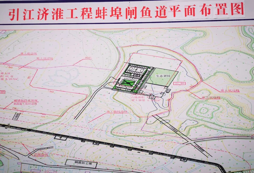 蚌埠闸或将新添一处景观带，家门口可欣赏鱼儿洄游产卵
