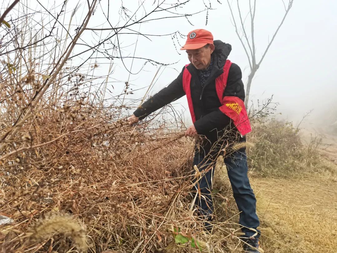 新春走基层 | 防火于未“燃”！走，跟着护林员去巡山