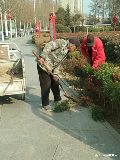 濮阳市德胜公园绿地提升工作拉开序幕