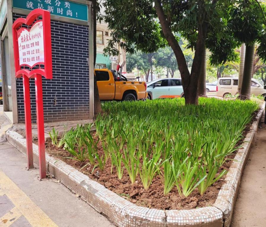 奏响绿化养护“春之声”，擦亮文明城市幸福底色
