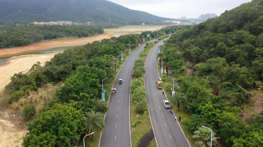 海陵：加强市政道路绿化管护 助力创建和美海岛