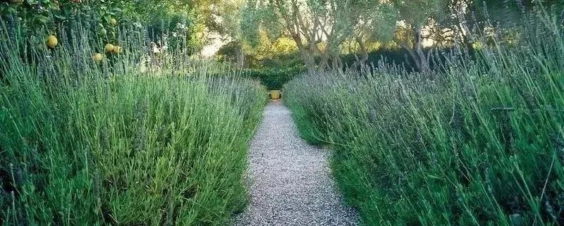 49款户外花园砂石景观，创造视觉趣味