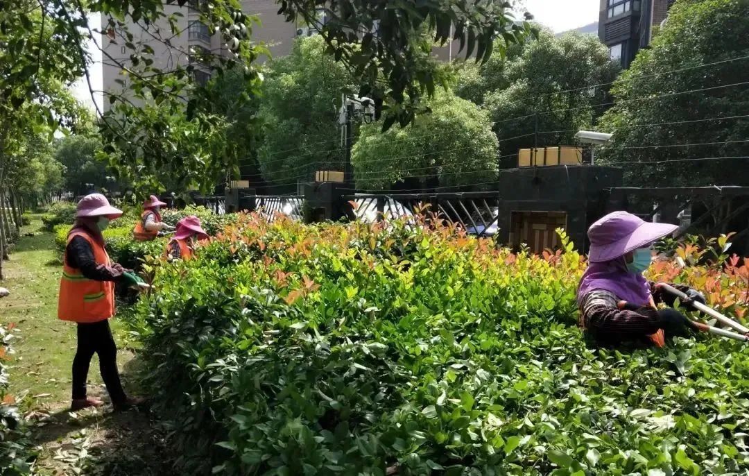 嘉定：南翔按下绿化“加速键”，水清岸绿风景美
