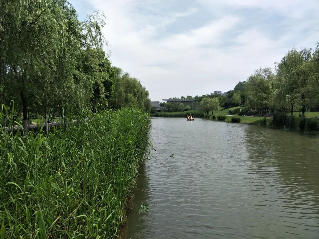 国家森林城市！芜湖中心城区绿化覆盖率达72.28%
