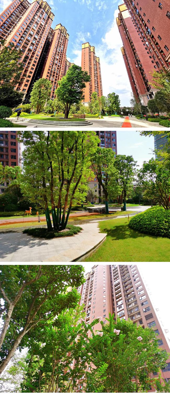 实景比效果图更美,衡阳这些楼盘园林实景让人羡慕! 实景比效果图更美,衡阳这些楼盘园林实景让人羡慕!