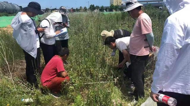 烟台开发区顺利完成森林资源管理 “一张图”年度更新