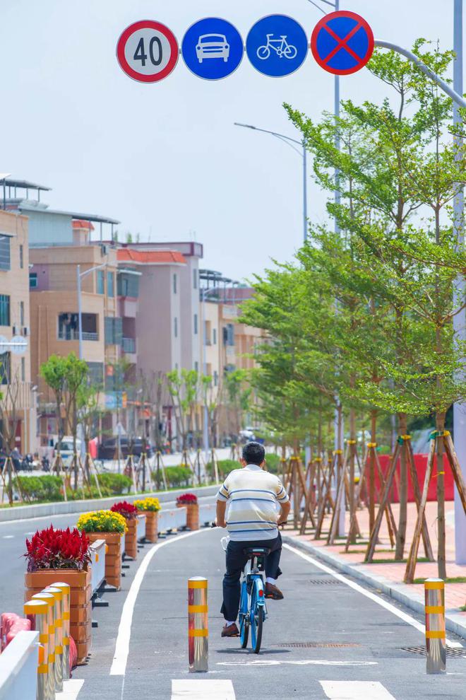通往植物园、水濂山！东莞大道旁又添新道路！