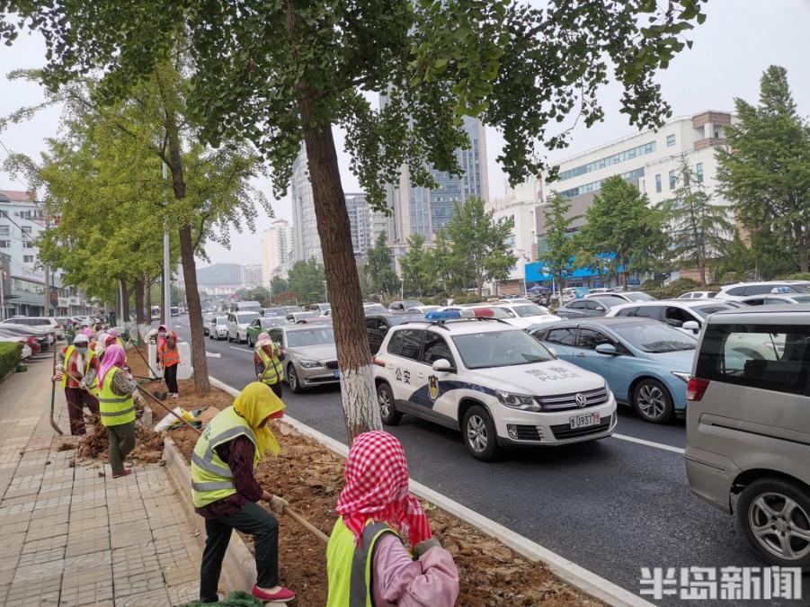 福州南路中央绿化带终于变绿了！