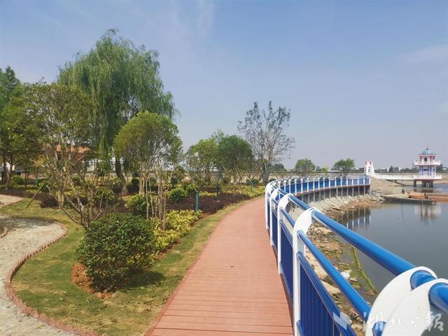 枣阳：打造公园式河库环境