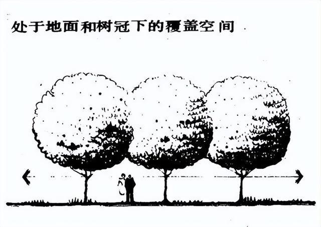 林景观设计的九种方法