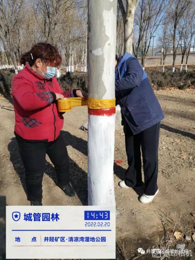 矿区城管执法局积极开展春季树木修剪工作