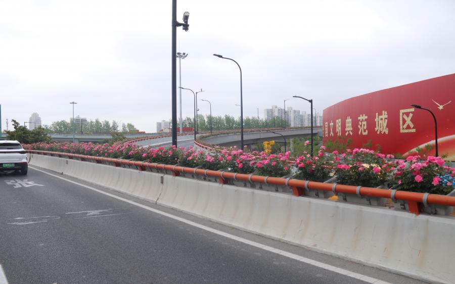 市绿化管理部门开展高架沿口绿化景观保障巡查调研