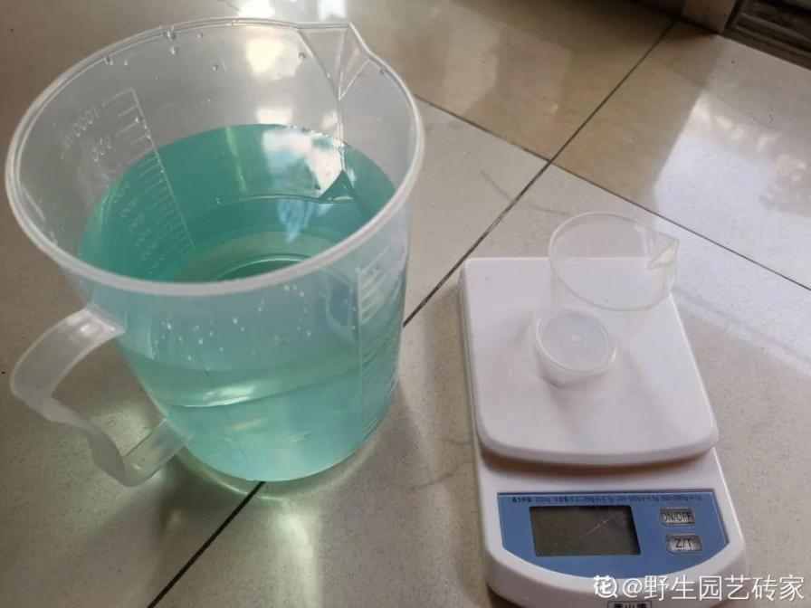 入夏前，10种花要赶紧施肥，不然以后没花看