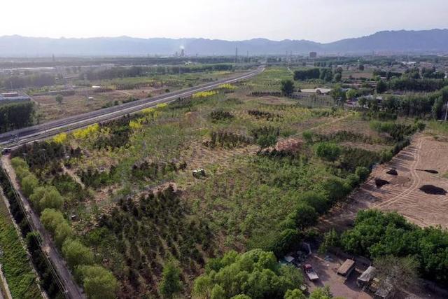 造林布景！昌平对冬奥沿线景观进行提升改造