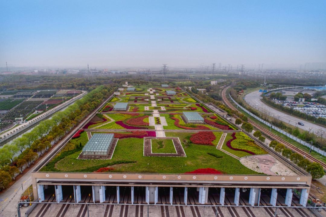 公园城市建设中的立体绿化，你知道哪些