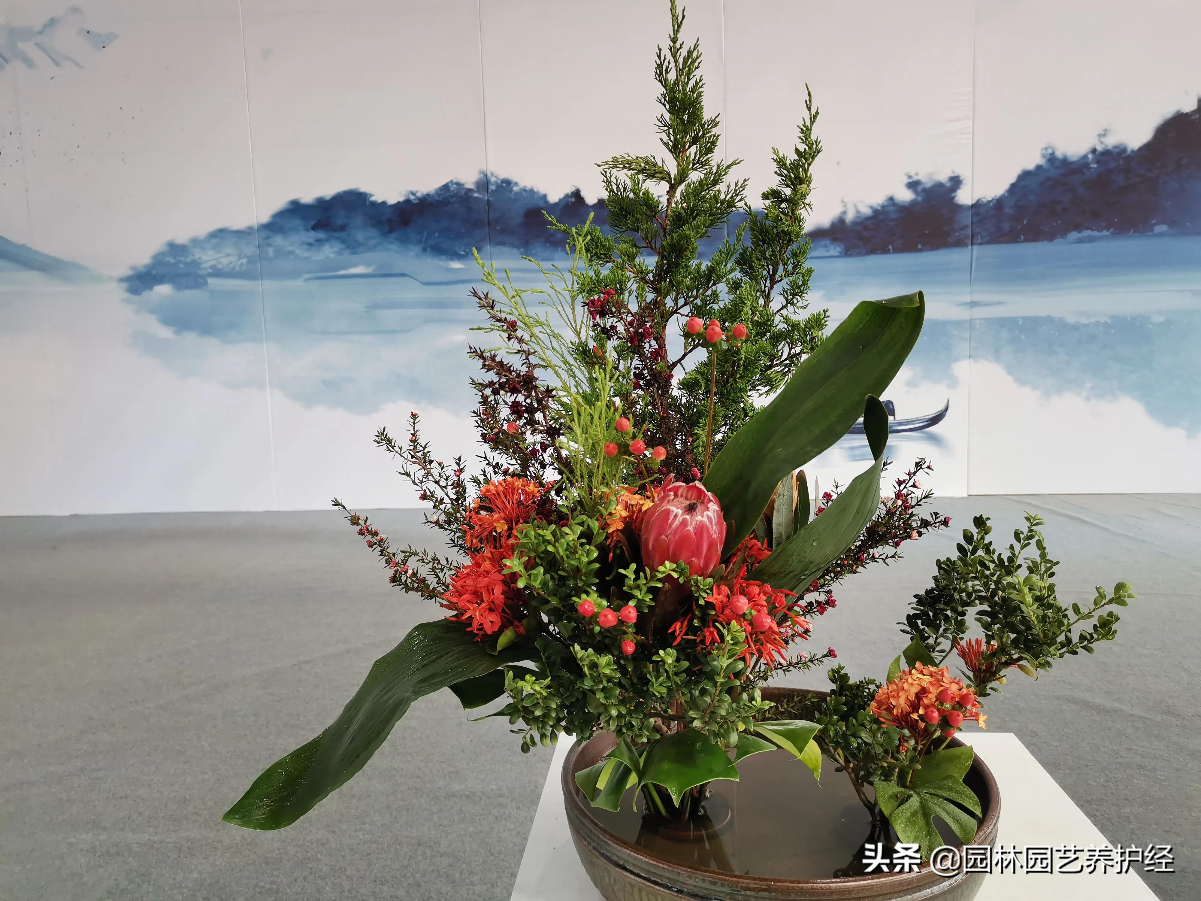 水培植物换水有什么技巧？