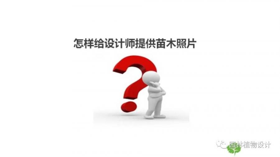 绿化设计后期【景观品质保证措施及规范标准】