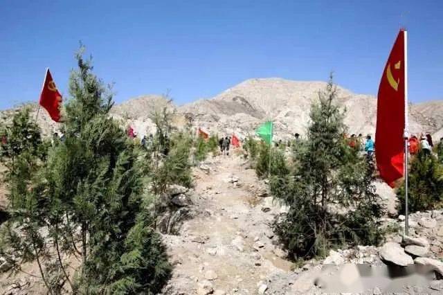栽植树木51万株 石嘴山市掀起春季国土绿化热潮
