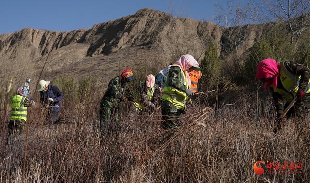 张掖肃南：不负春季好时光 补植栽种忙绿化