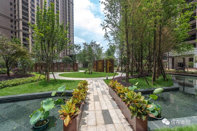 实景比效果图更美,衡阳这些楼盘园林实景让人羡慕! 实景比效果图更美,衡阳这些楼盘园林实景让人羡慕!