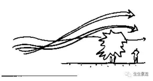 跟着大师学种植设计,妙 跟着大师学种植设计,妙