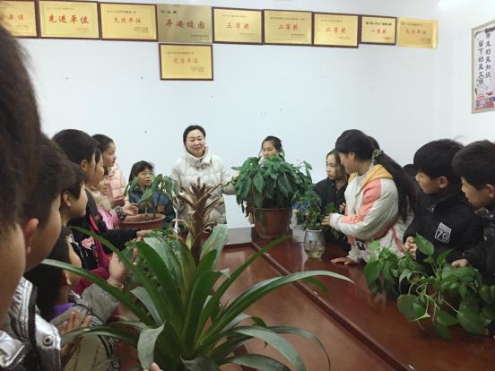 怀远县徐圩乡殷尚小学积极开展“亲近花木，走近自然”综合实践活