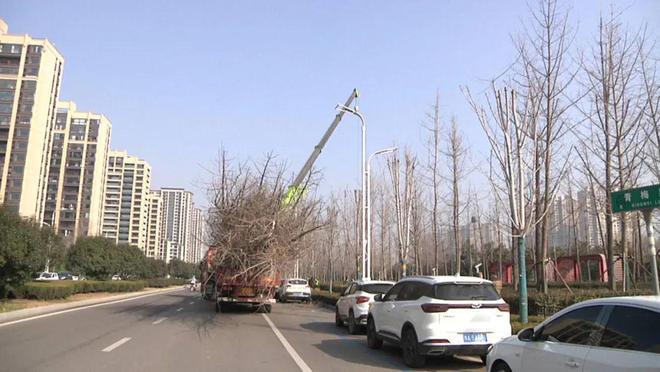 不负春日好时光 绿化造园施工忙