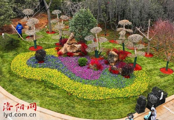 洛阳市区400万平方米绿化景观“提颜值”