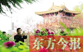 牡丹拟定为中国国花！中国花卉协会征求意见进行中