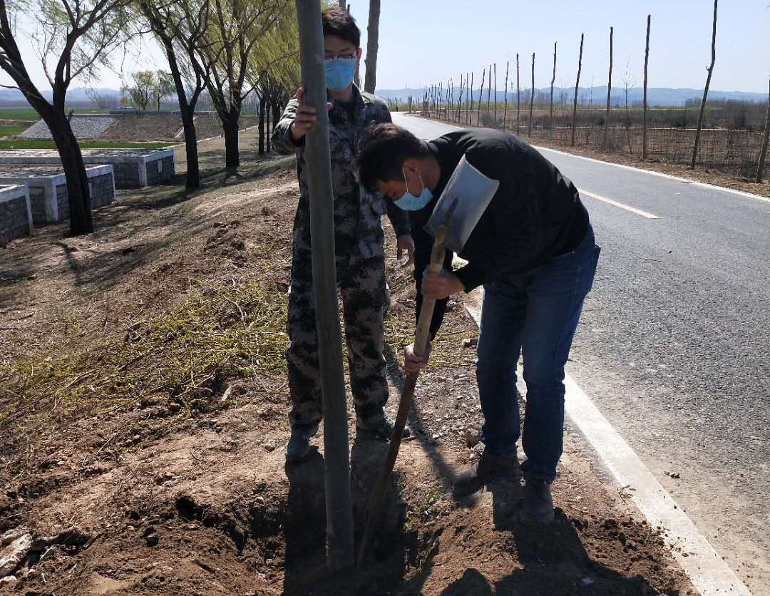 绿色引领,共绘黄河新画卷——齐河黄河河务局2020年植树绿化工作小记 绿色引领,共绘黄河新画卷——齐河黄河河务局2020年植树绿化工作小记