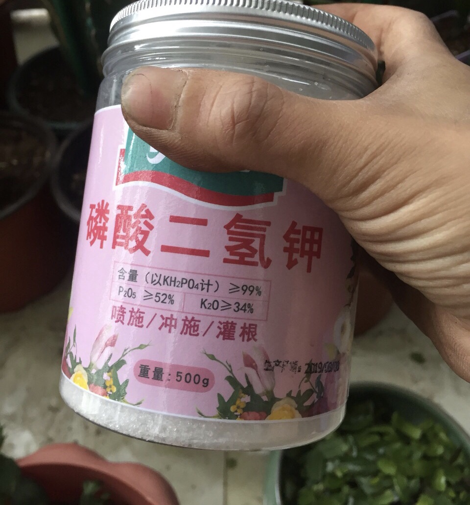 使用磷钾肥也有“讲究”，用对了“催花”，用错了“败花”