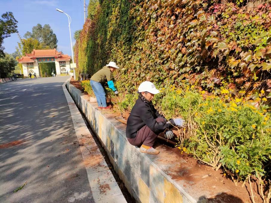 寥廓公园：开展苗木补植 构筑城市屏障