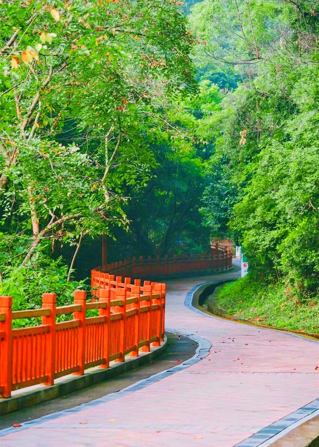 深圳凤凰山绿道